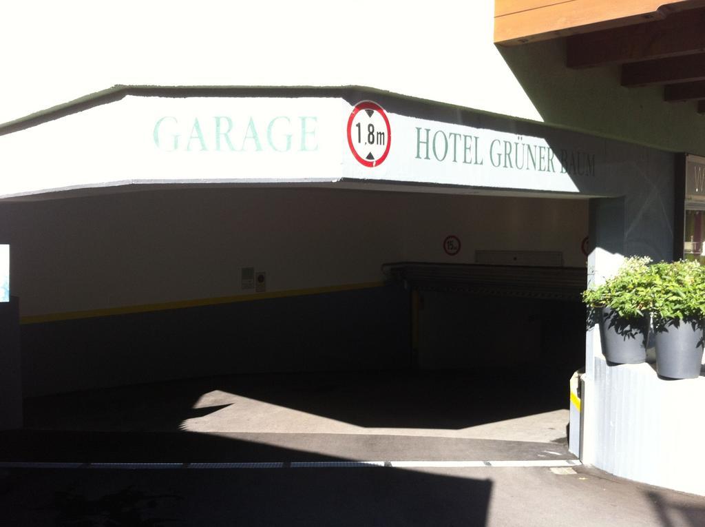 Hotel Gruener Baum Zell am See Dış mekan fotoğraf