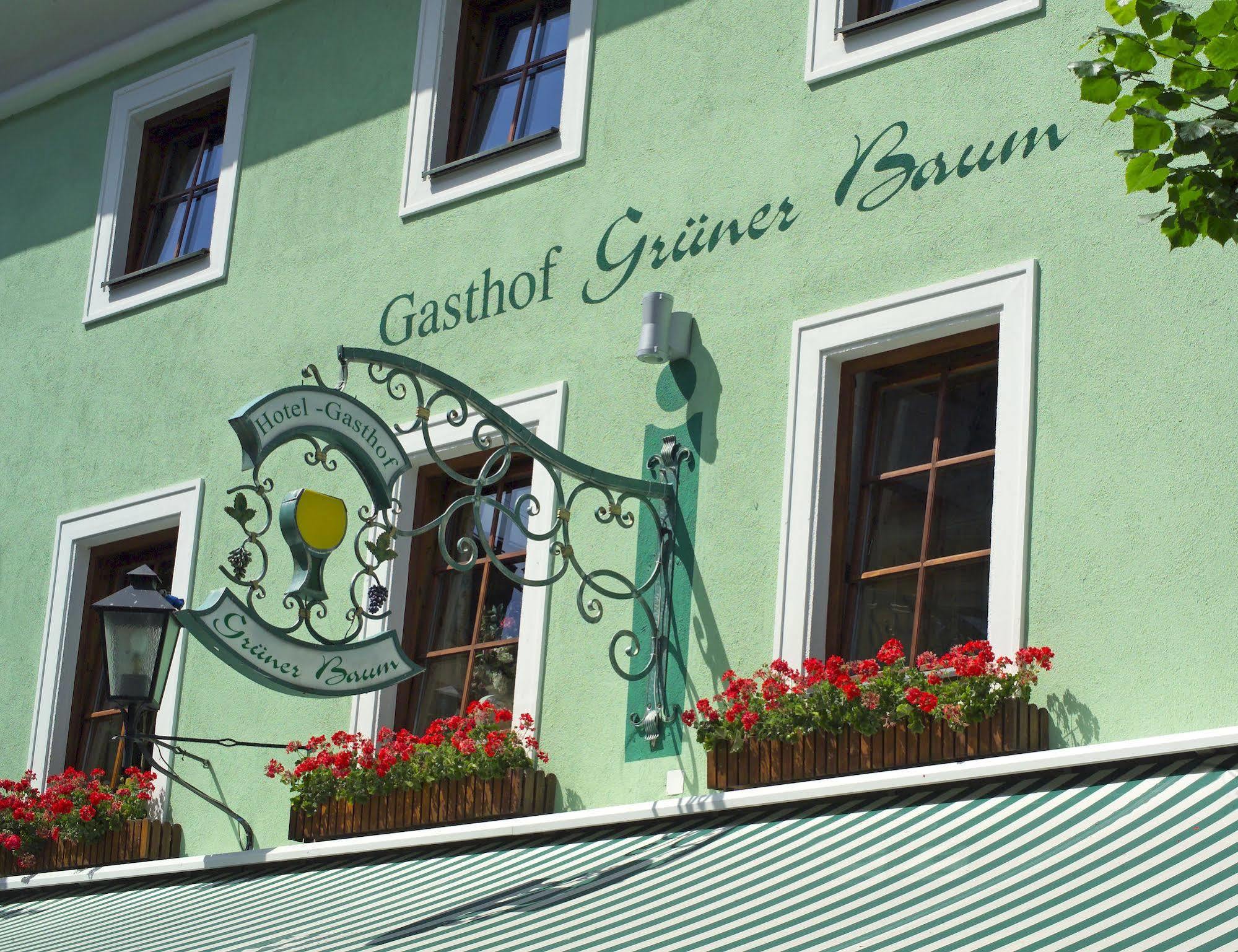 Hotel Gruener Baum Zell am See Dış mekan fotoğraf